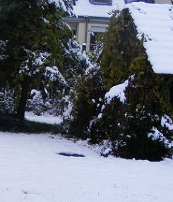2012Winter